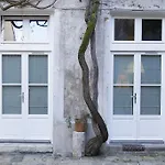 Bonaparte Studio